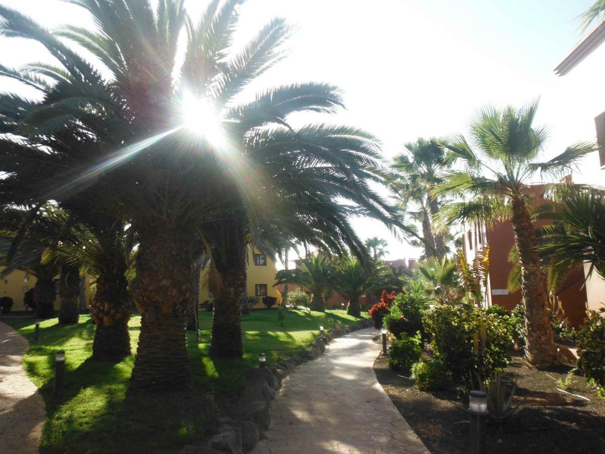 Appartamento Oasis Vistamar Corralejo Esterno foto